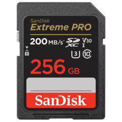Card memorie SDXC 256GB SanDisk, clasa 10, SDSDXXD-256G-GN4IN