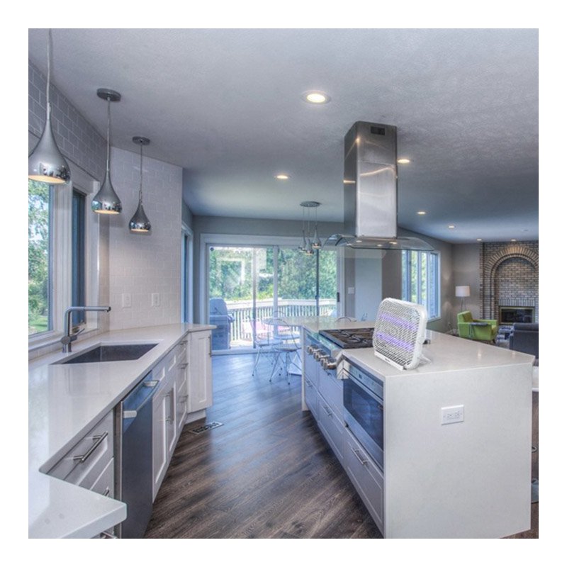 Aparat Profesional Anti-Insecte Baseus Wall-Mounted Electric Bionic Light - ACMWD-FB02 - White