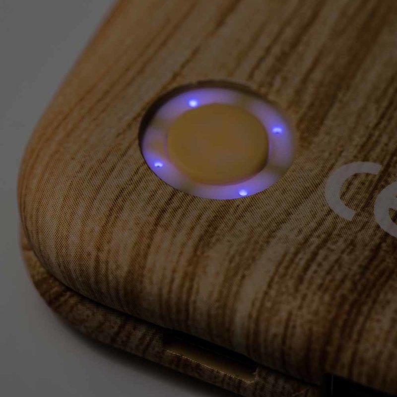 Baterie Externa Puridea S2 10000mAh 2xUSB - Light Wood Grain