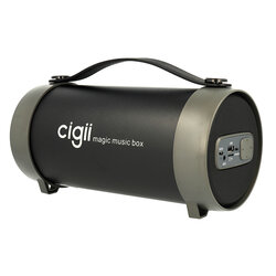 Boxa Portabila Cigii Tube TWS S22E Wireless Portable Speaker Magic Music Box Bluetooth And Radio - Black