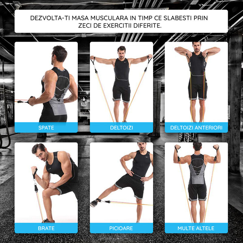 Set antrenament, 11 piese cu benzi de rezistenta, 45+ exercitii diferite