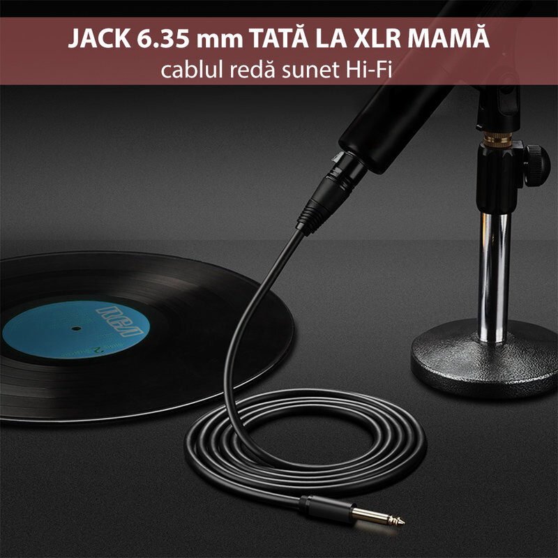 Cablu microfon, adaptor audio 6.35mm la XLR Ugreen AV131, 1m, negru, 20717