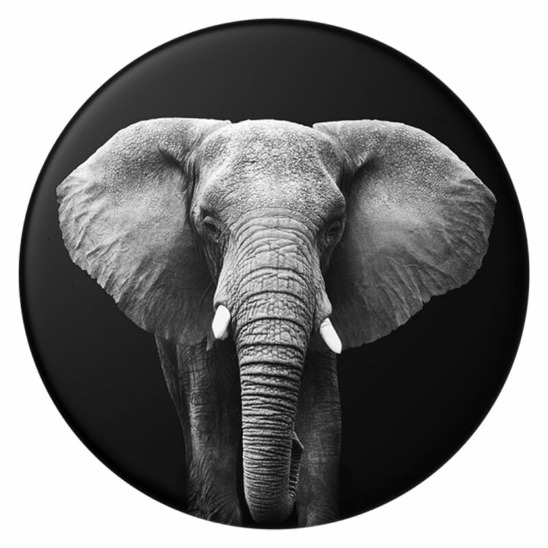 Popsockets original, suport cu functii multiple, Loxodonta Africana