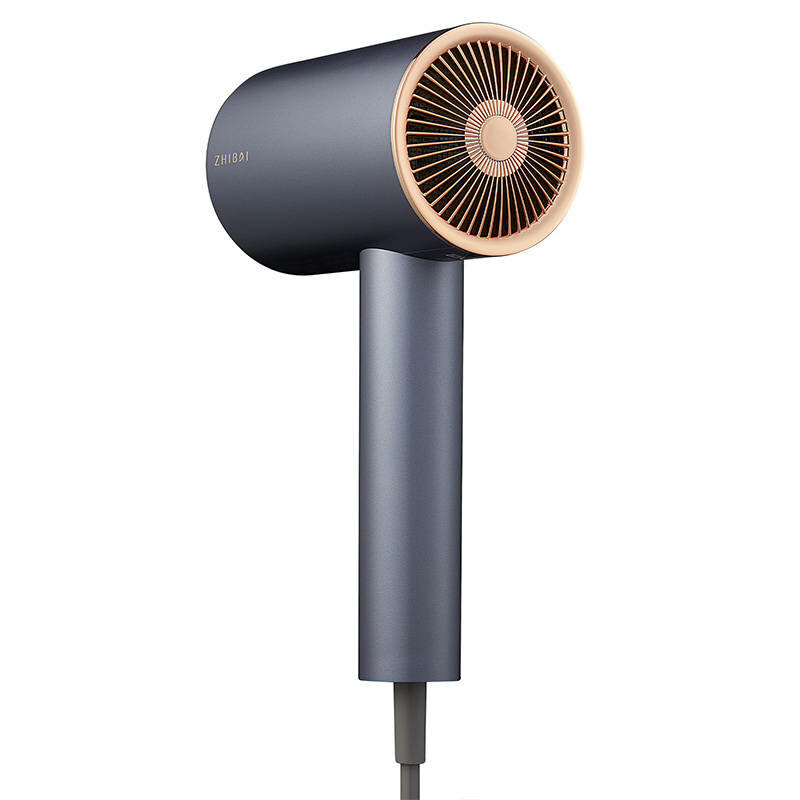 Feon profesional, uscator de par Zhibai HL510, albastru