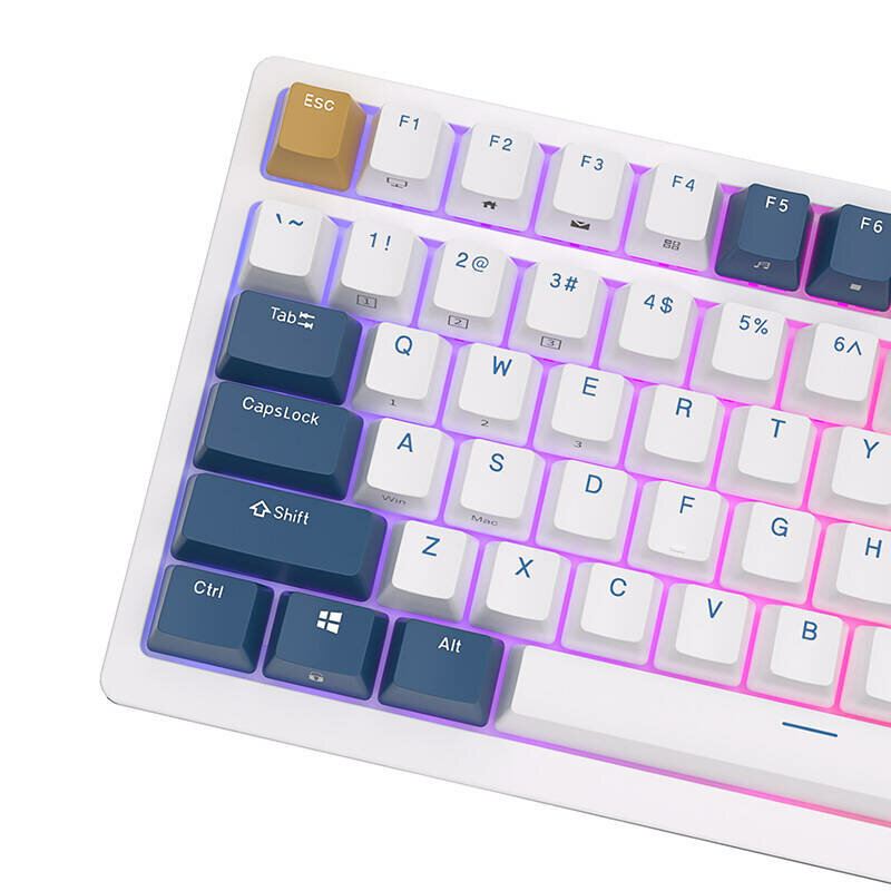 Tastatura Bluetooth mecanica Royal Kludge, RGB, albastru RK98