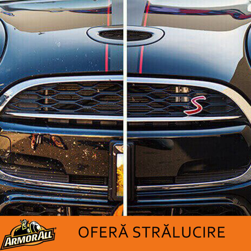 Burete auto Armor All pentru curatare insecte, grasime si bitum