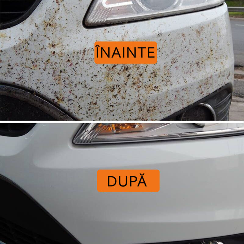 Burete auto Armor All pentru curatare insecte, grasime si bitum